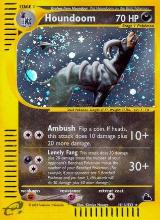 Houndoom (H11) H11/144 - Skyridge Holofoil